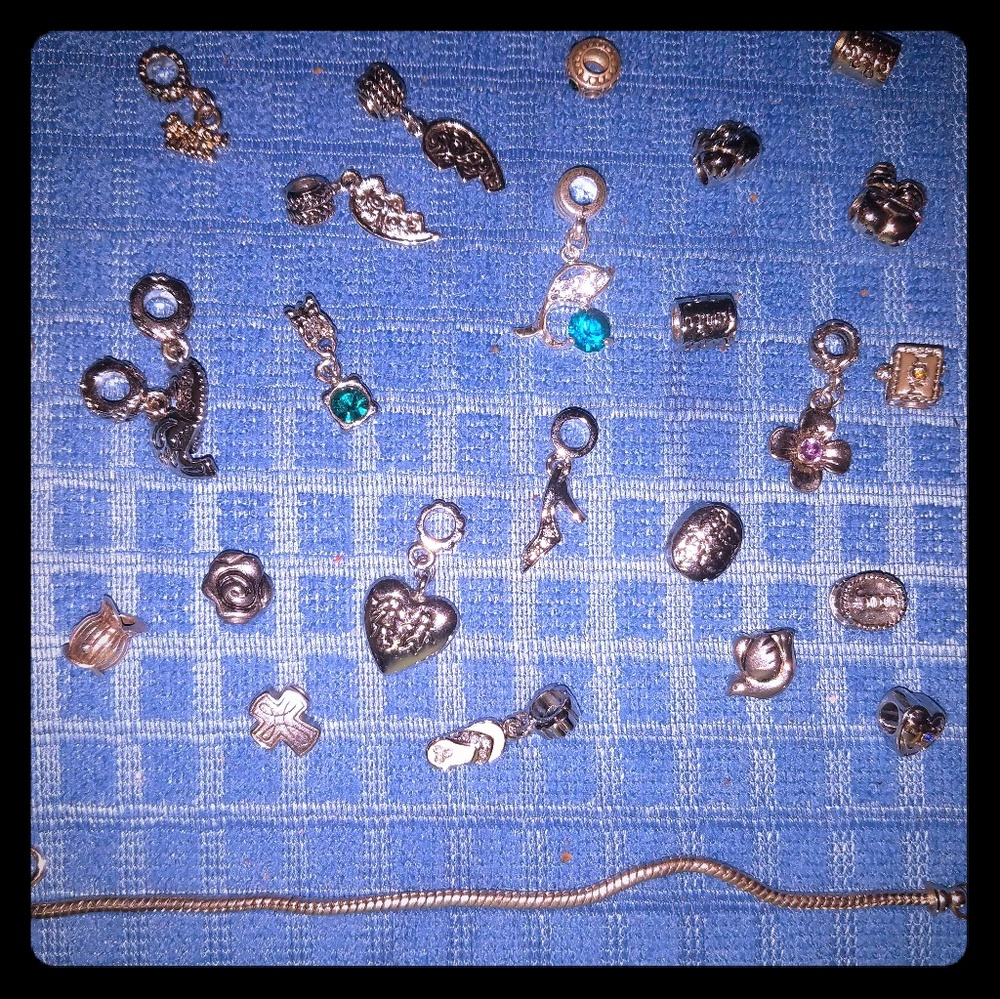 Silver charm braclet ( pugster charms)